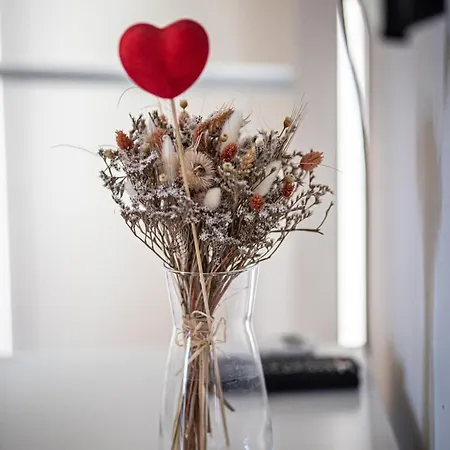 아파트 아파트먼트 인 니스